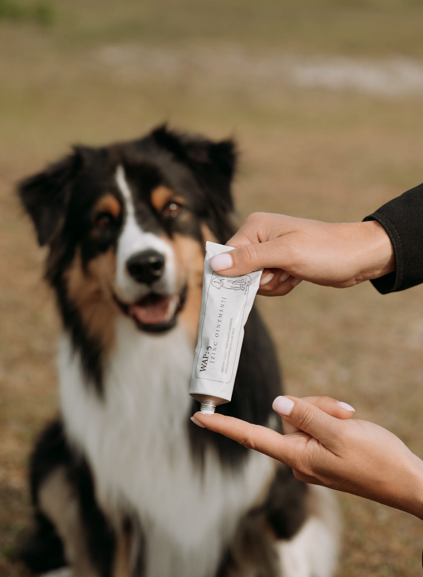WAP: 5 Zinksalva från WAP Dog Care - 60 % rabatt
