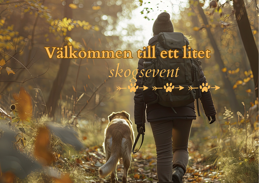 Välkommen till skogen!