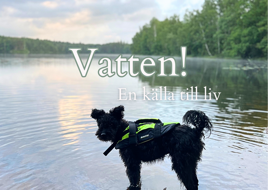 Vatten - en källa till liv!