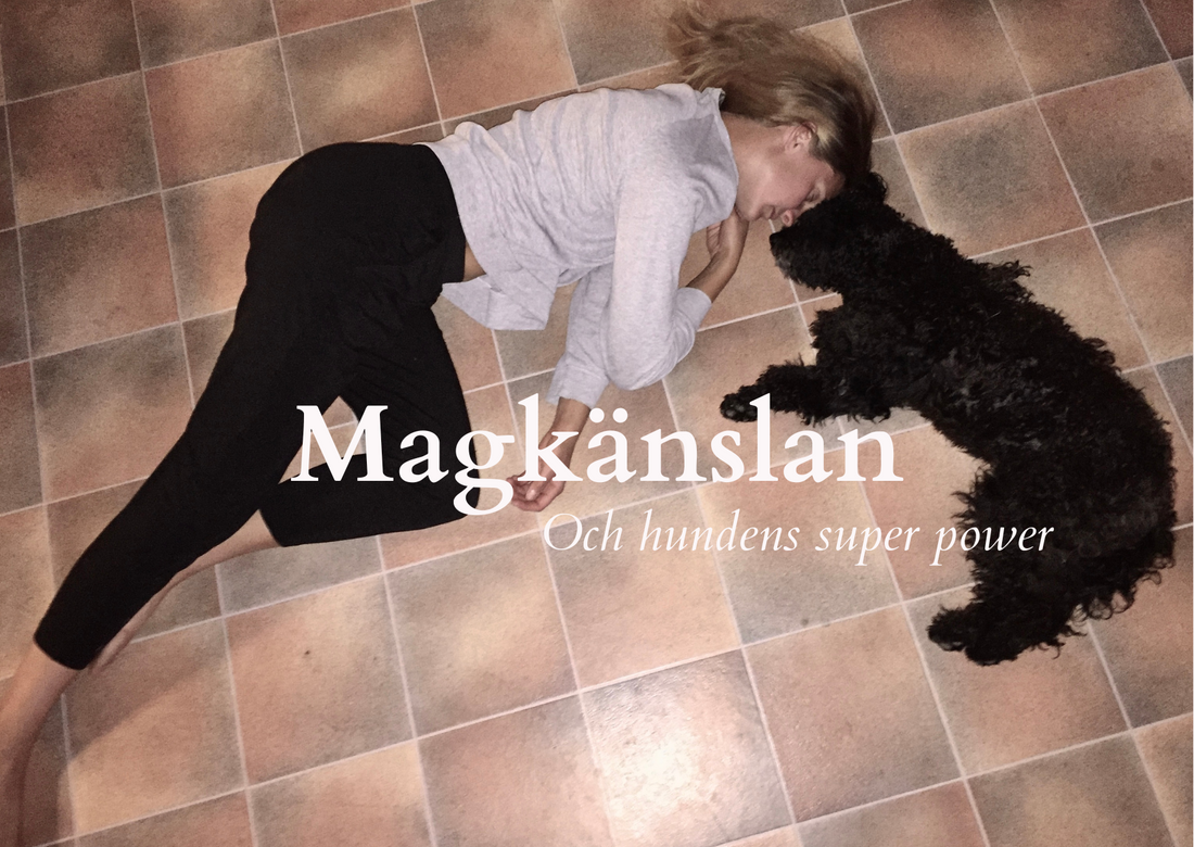 Magkänslan och hundens super powers