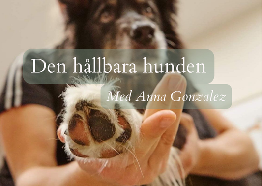 Den hållbara hunden