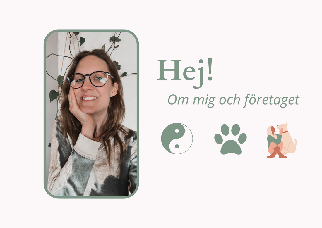 Om mig och företaget (Del 1)