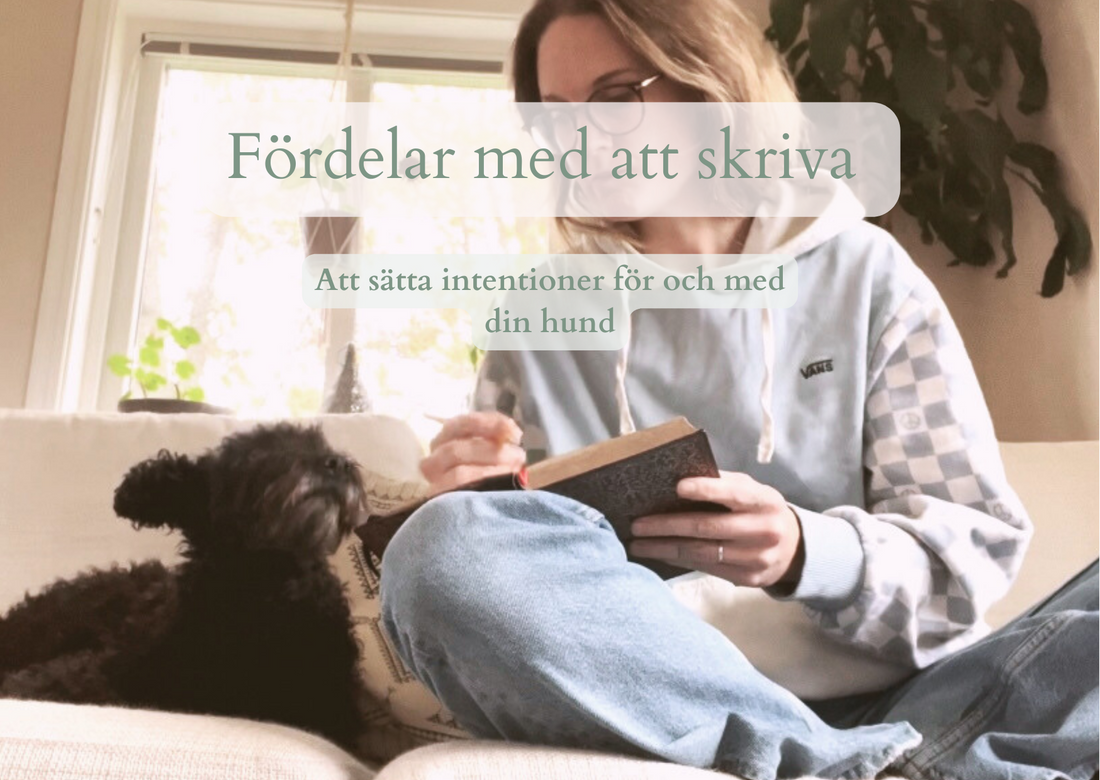 Fördelar med att skriva