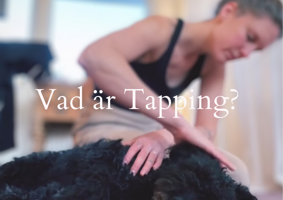 Vad är Tapping?