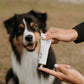 WAP: 5 Zinksalva från WAP Dog Care - 60 % rabatt